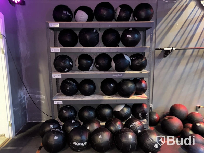 Lot of wall balls, various brands and weights