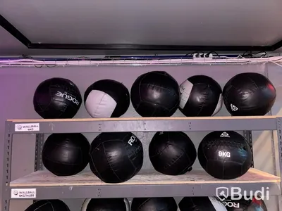 Lot of wall balls, various brands and weights