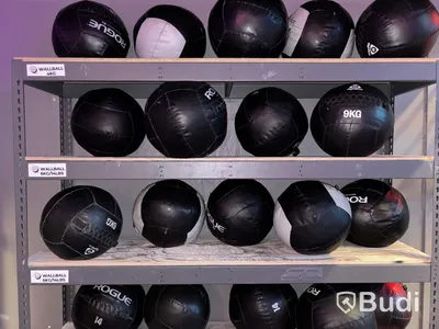 Lot of wall balls, various brands and weights