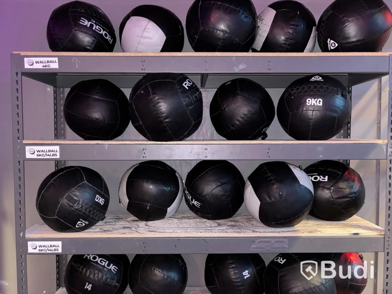 Lot of wall balls, various brands and weights