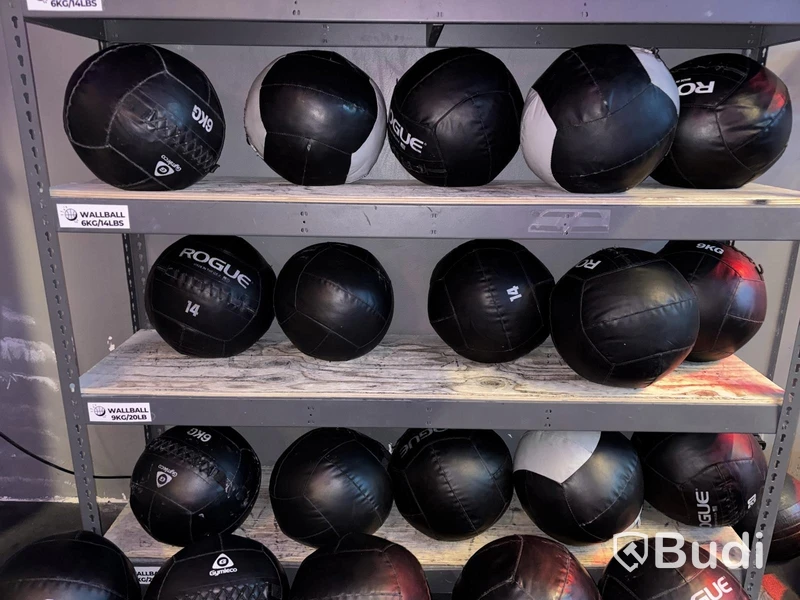 Lot of wall balls, various brands and weights