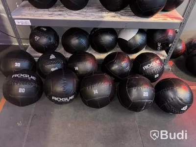 Lot of wall balls, various brands and weights