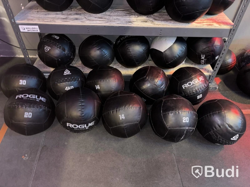 Lot of wall balls, various brands and weights