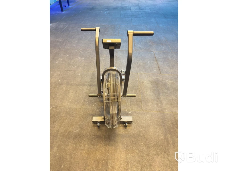 Echo Bike, Rogue