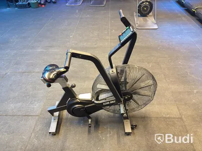 Echo Bike, Rogue