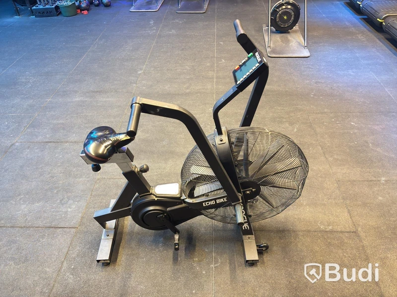 Echo Bike, Rogue