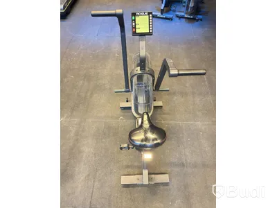 Echo Bike, Rogue