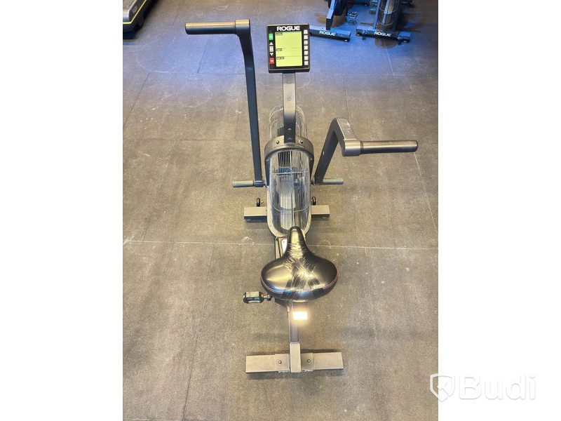 Echo Bike, Rogue
