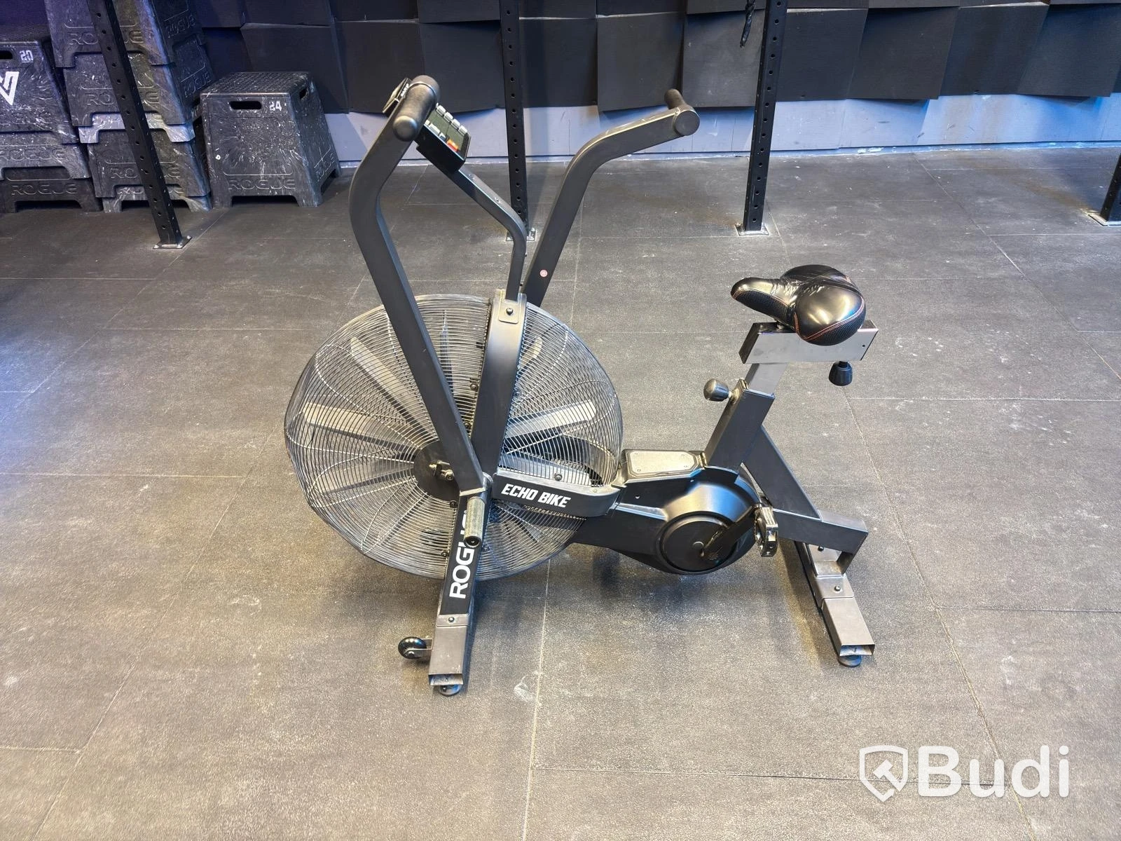 Rogue Echo Bike