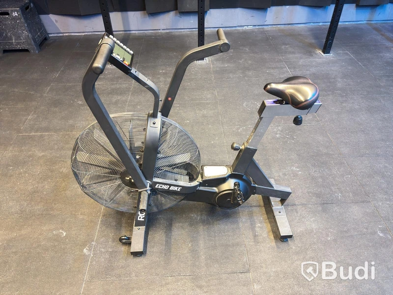 Echo Bike, Rogue