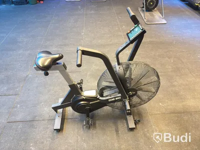 Echo Bike, Rogue