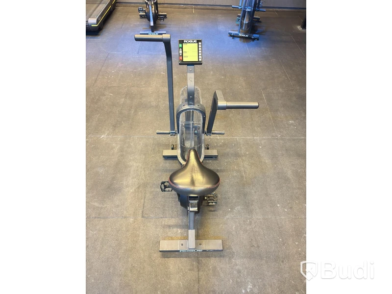 Echo Bike, Rogue