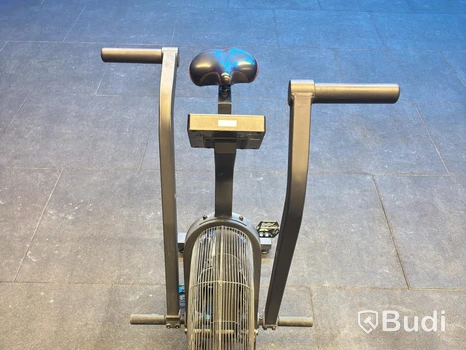 Echo Bike, Rogue