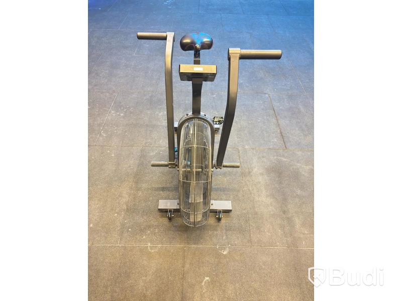 Echo Bike, Rogue
