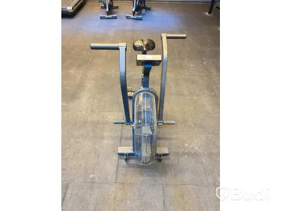 Echo Bike, Rogue