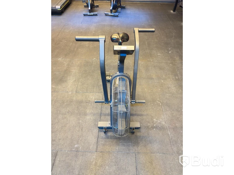 Echo Bike, Rogue