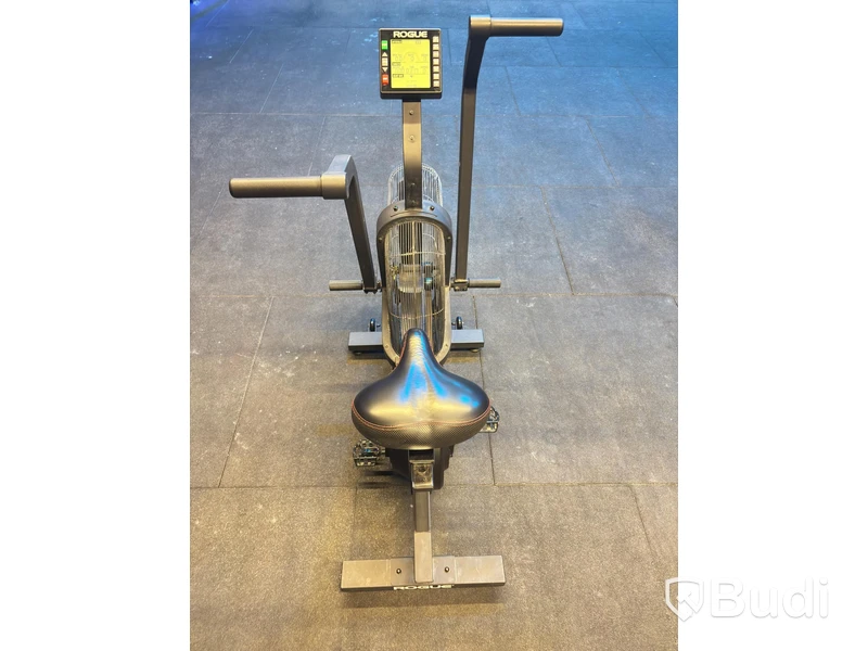 Echo Bike, Rogue