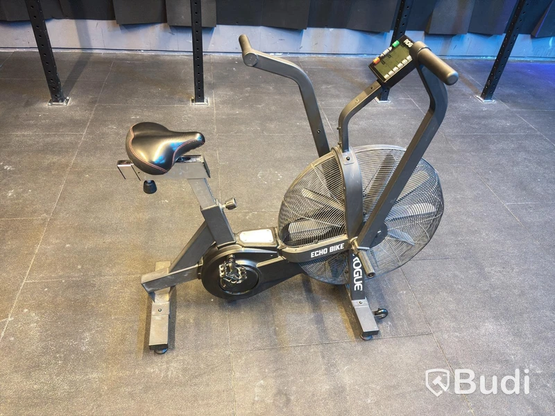 Echo Bike, Rogue