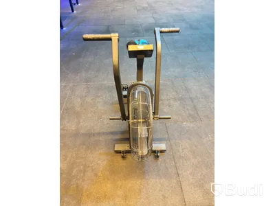 Echo Bike, Rogue