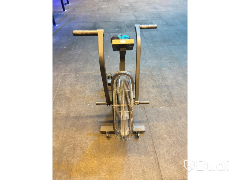 Echo Bike, Rogue