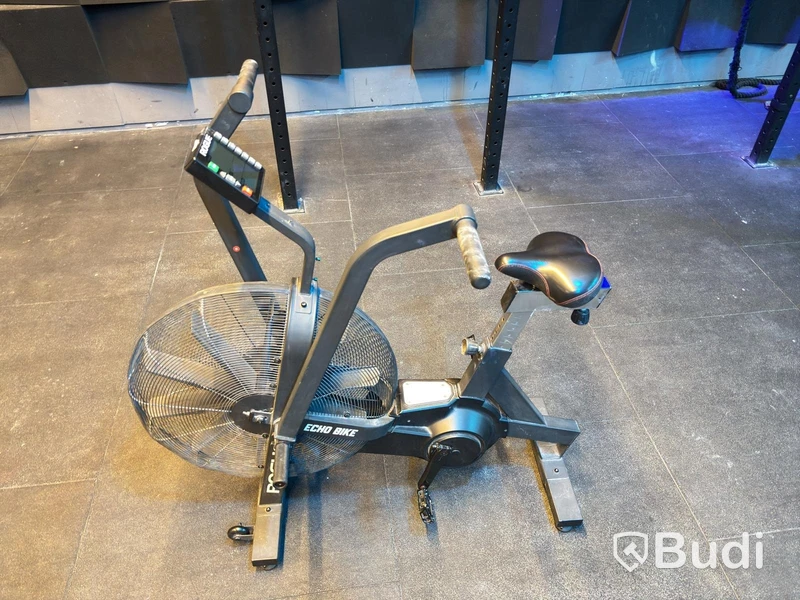 Echo Bike, Rogue