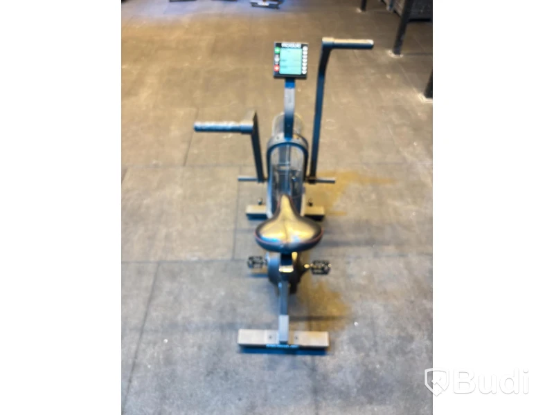 Echo Bike, Rogue