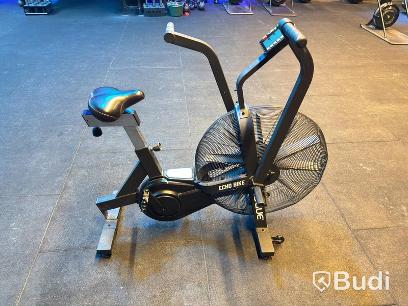 Echo Bike, Rogue