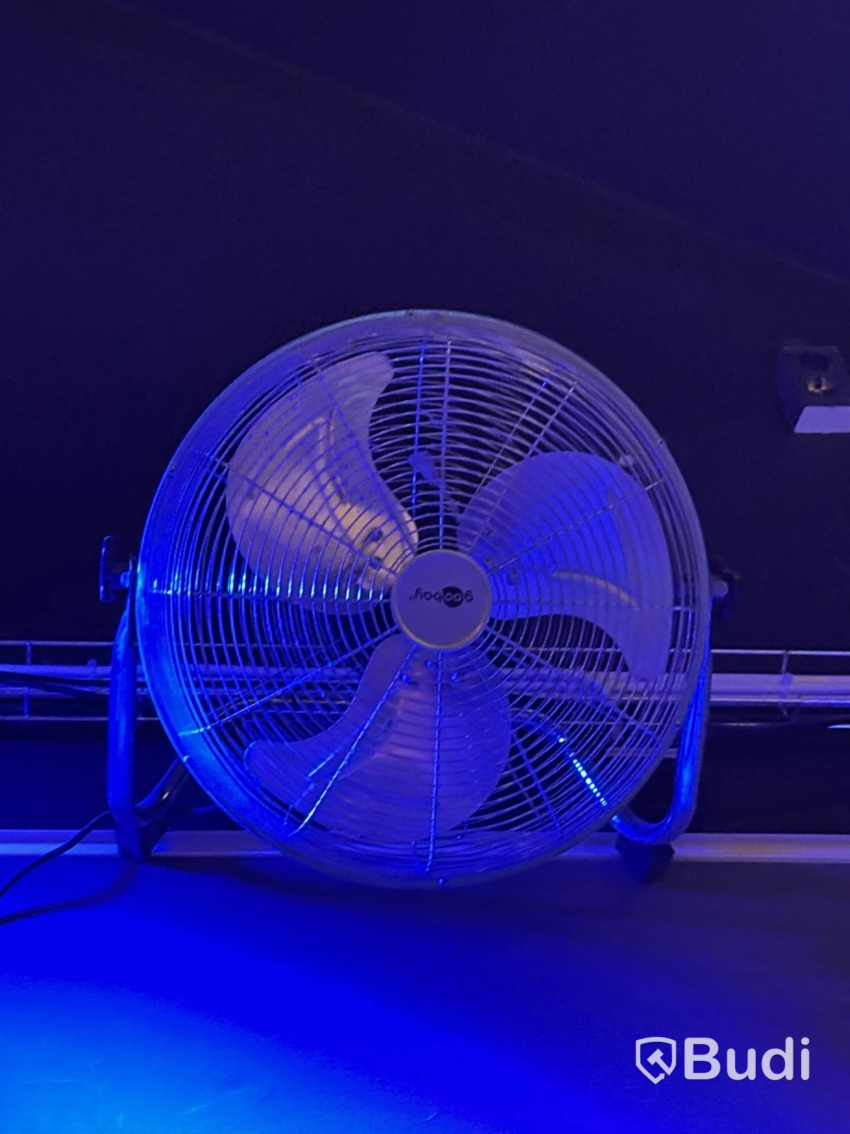 2 large fans incl. 1 small Gooboy fan