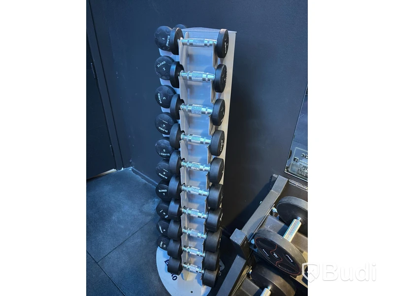 Komplett ställning med hantlar från Eleiko 1 - 10kg