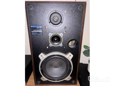 2 speakers incl. 2 turntables and a Pioneer mixer