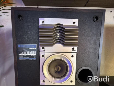2 st. Högtalare inkl 2 st. skivspelare och mixer Pioneer