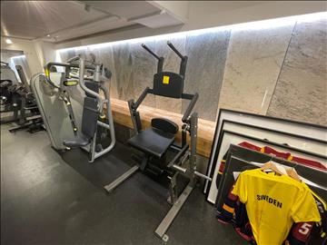Magmaskin från Gymleco för fria vikter