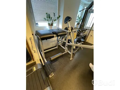 Atlantis Back D-215 nedre rygg-/gluteusmaskin
