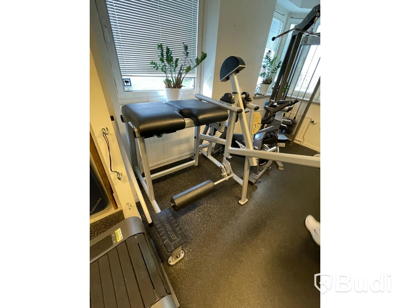 Atlantis Back D-215 nedre rygg-/gluteusmaskin