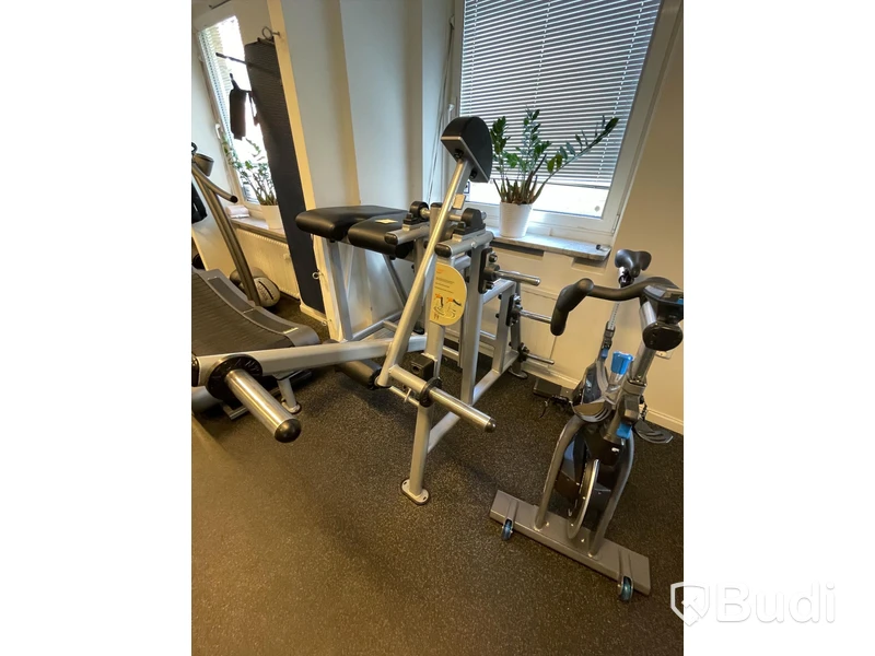 Atlantis Back D-215 nedre rygg-/gluteusmaskin