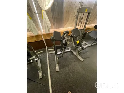 Bicepsmaskin Gymleco för fria vikter