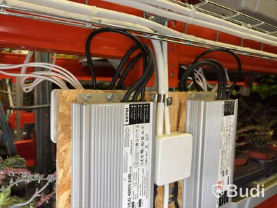 Komplett system med växtbelysning för växthus och hydroponiska system