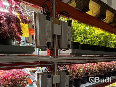 Komplett system med växtbelysning för växthus och hydroponiska system