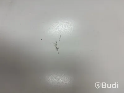 Toalettstol Disegno Ceramica vägghängd