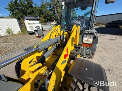 Wacker Neuson WL52 wheel loader, 2024 (248 hours), with plow and sand spreader