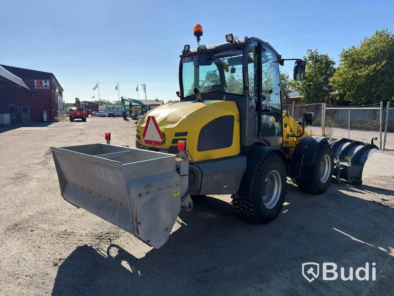 Wacker Neuson WL52 wheel loader, 2024 (248 hours), with plow and sand spreader