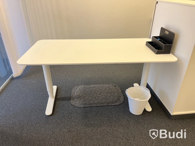 Höj- och sänkbart skrivbord med skåp och ståmatta