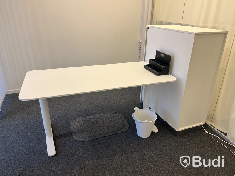 Höj- och sänkbart skrivbord med skåp och ståmatta