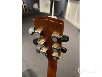 Akustiskt gitarr Cort