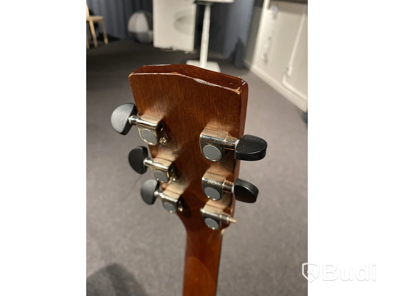 Akustiskt gitarr Cort