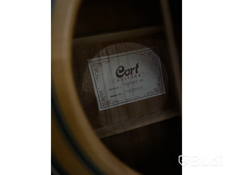 Akustiskt gitarr Cort