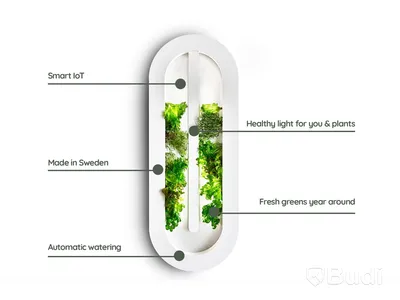 Hydroponic system Hollbium, The Loop
