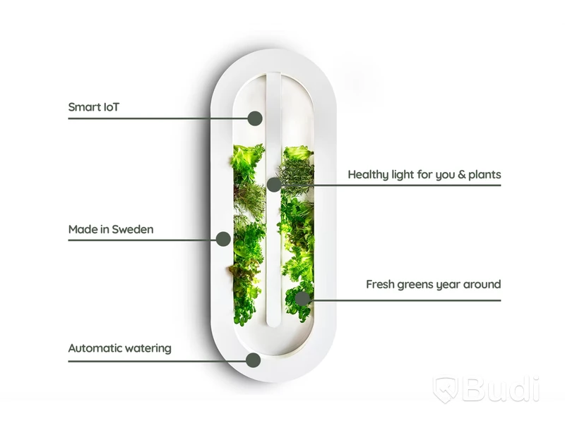 Hydroponic system Hollbium, The Loop