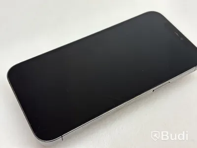 Mobil Apple iPhone 12 Pro Max 256GB