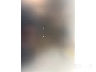 Datorskärm, Lenovo Q24i-20, 24 tum